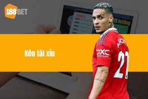 Kèo Tài Xỉu Và Những Điều Quan Trong Khi Đặt Cược Online