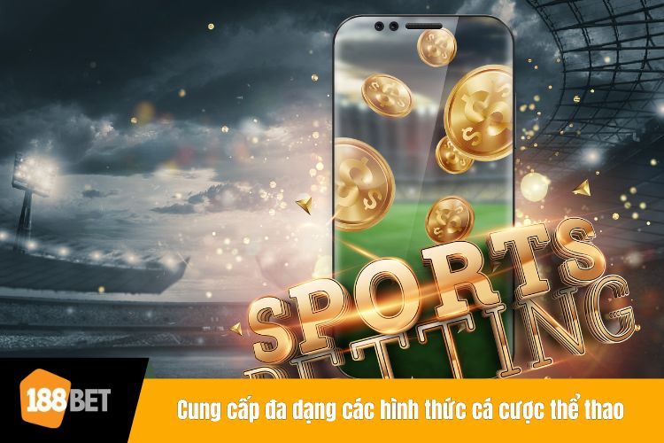 Cung cấp đa dạng các hình thức cá cược thể thao