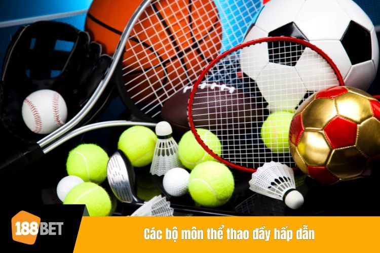 Các bộ môn thể thao đầy hấp dẫn
