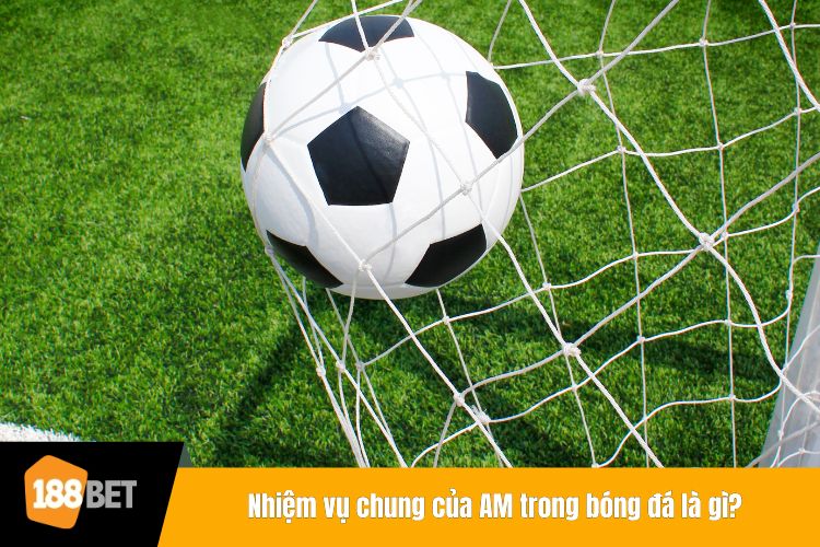 Nhiệm vụ chung của AM trong bóng đá là gì?